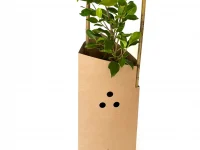FiberGuard 450 with plant