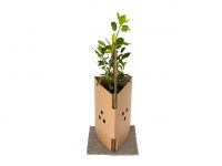 FiberGuard 450 with plant