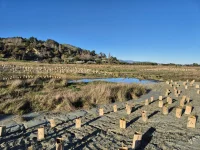 FiberGuard-Todd-Valley-Estuary