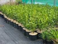 GP-034-futurefiber-hemp-discs-600gsm-plant-pots-2