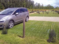 GP-037-grassinforce-grass-reinforcement-mesh-in-use-2