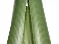 GP-049-kbc-poplar-and-willow-sleeve-1