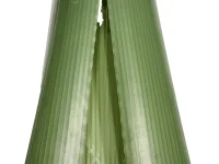 GP-049-kbc-poplar-and-willow-sleeve-1