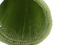 GP-049-kbc-poplar-and-willow-sleeve-2