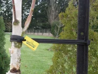 GP-071-safetree-plant-support-in-use