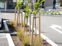 GP-087-treated-pine-stakes-in-use