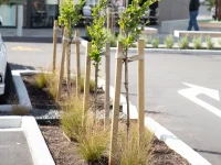 Hardwood Tree Stakes