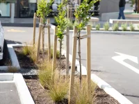 Hardwood Tree Stakes