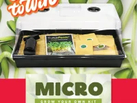 Microgreens WIN social tile