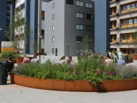 Retaining Wall Curved