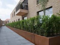 Retaining Wall Straight 5