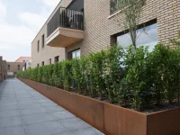 Retaining Wall Straight 5
