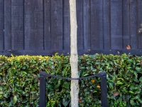 Tree Stakes Black and Poly Tree Tie Webbing