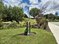 TreeSip Watering Bag-6