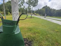 TreeSip Watering Bag