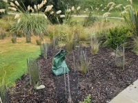 TreeSip Watering Bag