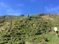 TreeTube Maxi hill site