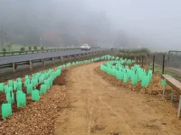 TriGuard - recyclable through Plant Guard to Post programme