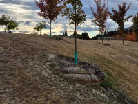 Web Product Coir Logs 1280x960px