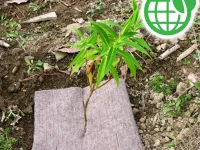 combiguard-mat-earth