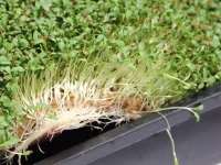 grow-mat-10_orig.jpg