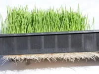 grow-mat-12_orig.jpg