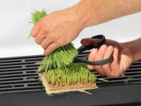 grow-mat-9_orig.jpg