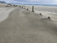 hessian_fence-in-use (1)